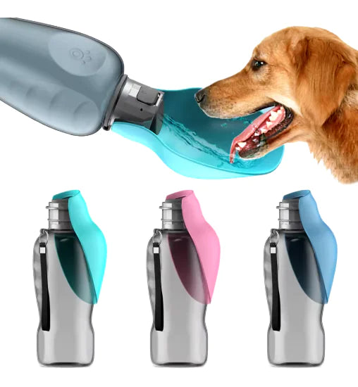 800ml Portable Dog Water Bottle - DoCamping