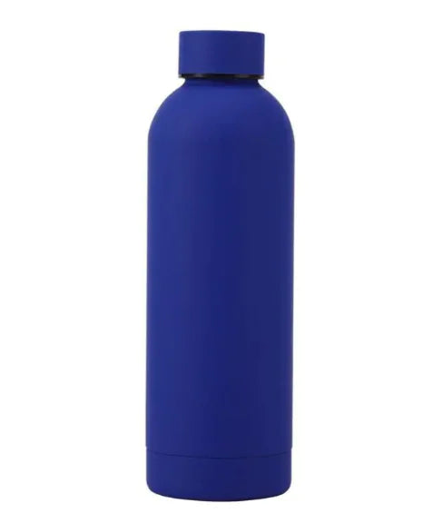 Stainless Steel Sports Water Bottle - DoCamping